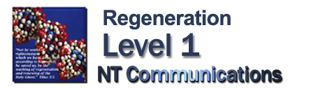 Level 1 - Regeneration